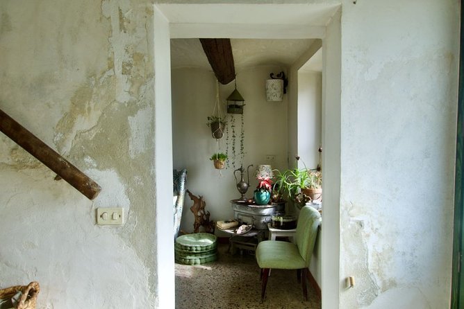 Sustainable Farm Tour & Northern Italian Cooking Class in Asti - From the garden to the kitchen: pasta, gnocchi, and wild-herb cooking