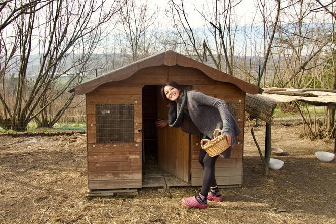 Sustainable Farm Tour & Northern Italian Cooking Class in Asti - Price and value: what $170 buys you (and what it doesn’t)