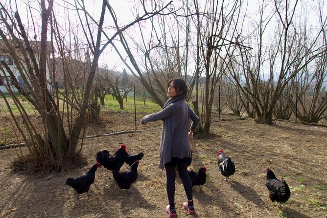 Sustainable Farm Tour & Northern Italian Cooking Class in Asti - Who this experience suits best in the Asti-Piedmont area