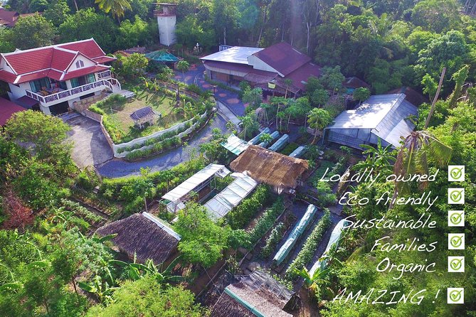 Thai Cooking Class | Since 2012 | Farm to Table - Dessert and herbal drinks: finishing the meal properly