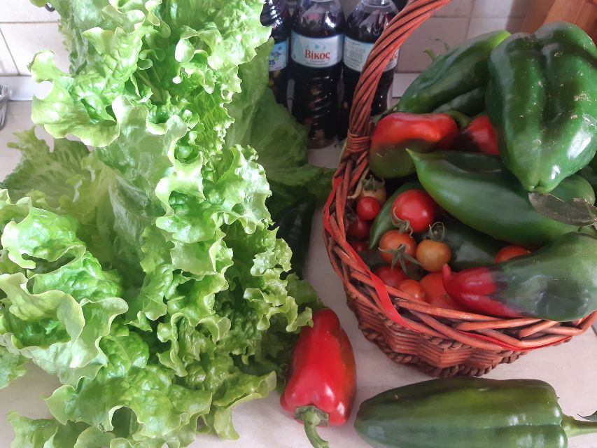Thessaloniki: Private Greek Cooking Class and Meal at a Farm - Lunch or dinner at the table: raki, wine, and what you’ll take home