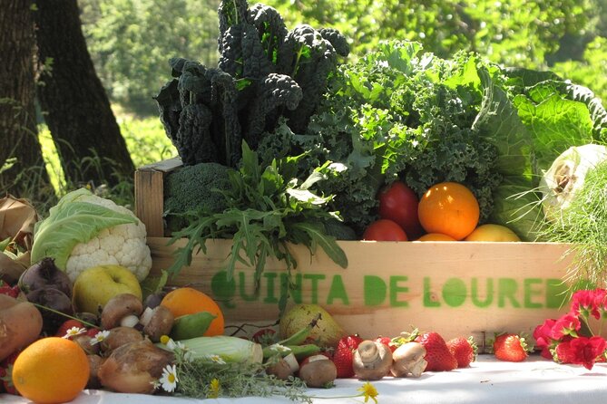Traditional Cooking Class, Farm Tour & Lunch in the Douro Valley - Quick highlights