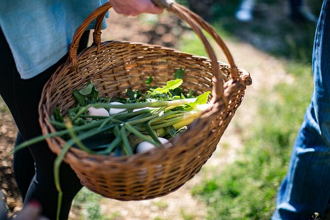 Traditional Cooking Class in Dubrovnik Countryside - Hands-on cooking in a working home kitchen