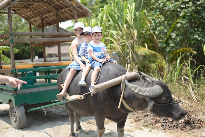 Traditional Cooking Class with Basket Boat Ride and market Tour - Stop 1: Hoi An Market Tour (Where the Food Starts Making Sense)