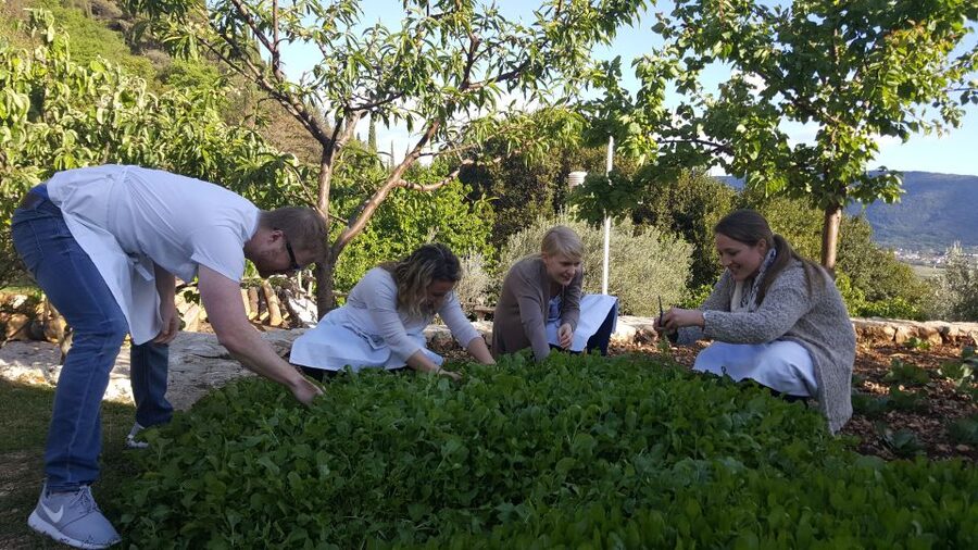 Traditional Dalmatian Cooking Class from Dubrovnik - Farm time: picking produce and working with real ingredients