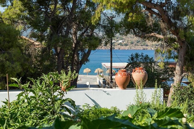 Traditional Greek Cooking Class and Organic Lunch on Poros - The food story goes beyond recipes