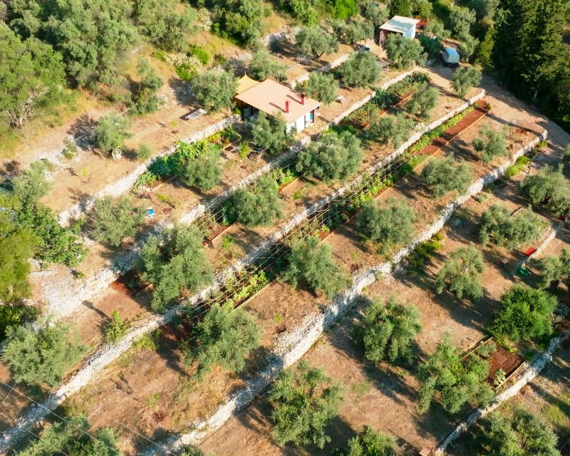 Traditional Greek Cooking Class @ Lefkada Micro Farm - Price and Logistics: Does $123 Make Sense?
