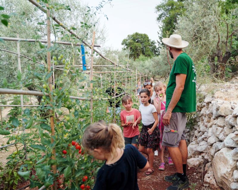 Traditional Greek Cooking Class @ Lefkada Micro Farm - Should You Book This Traditional Greek Cooking Class?