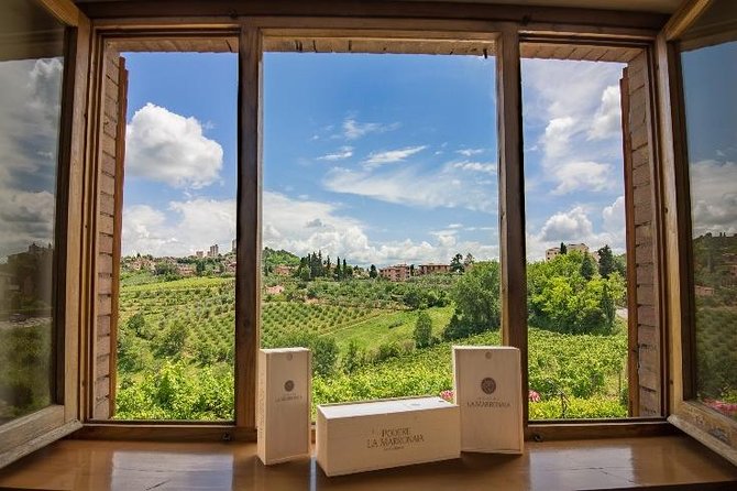Truffle Hunting and Cooking Class - Vineyard and olive grove tour before the cooking starts