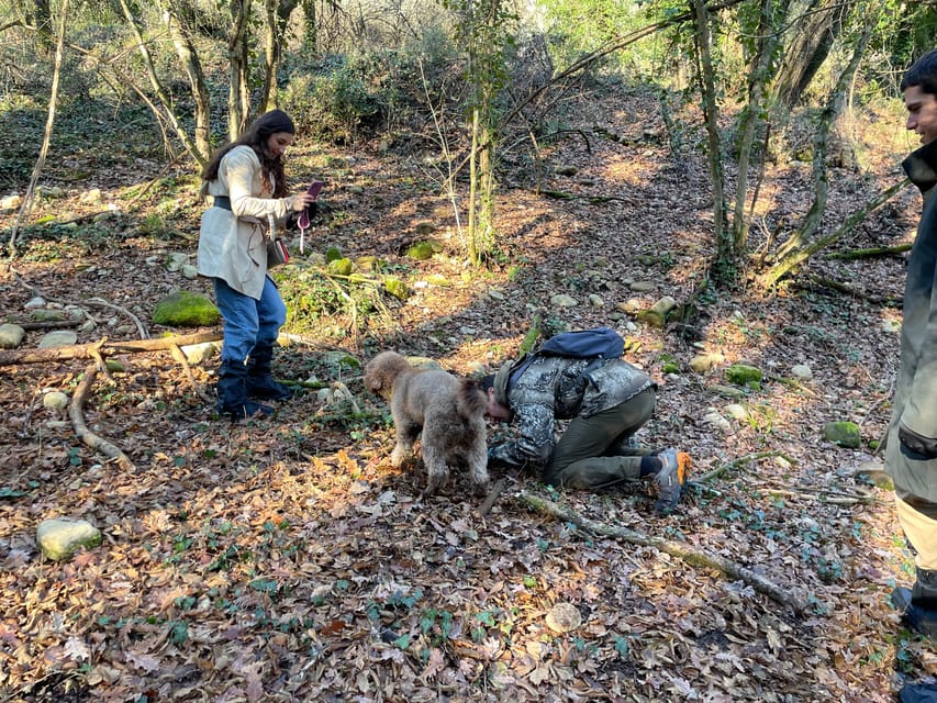 Truffle hunting in Chianti with pasta cooking class & lunch - Chianti Classico Farm Setting: Greve-Adjacent and Easy to Miss