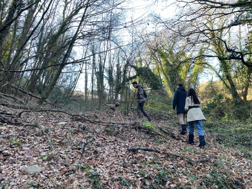 Truffle hunting in Chianti with pasta cooking class & lunch - Pasta Class on the Farm: Tagliatelle You Can Actually Make Again