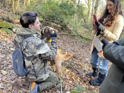 Truffle hunting in Chianti with pasta cooking class & lunch - The One-Hour Truffle Hunt With the Dog Who Does the Finding