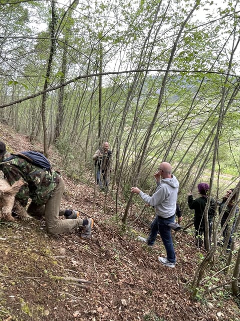 Truffle hunting in Chianti with pasta cooking class & lunch - Lunch on the Terrace: Vineyard Views and Truffle-Forward Flavor