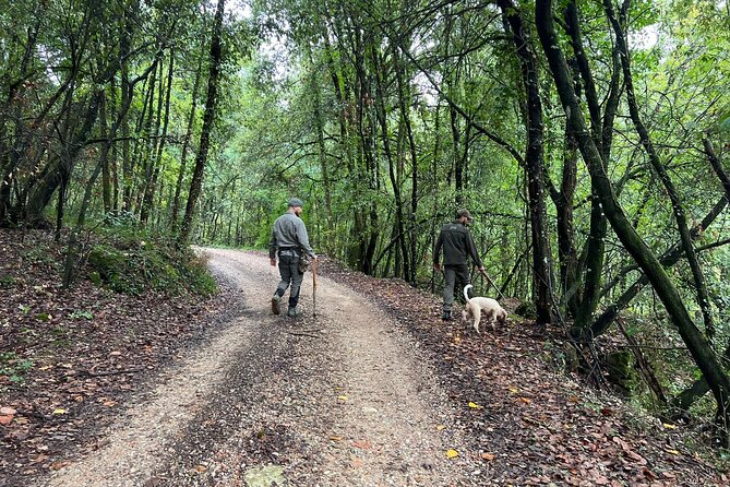 Truffle Hunting, Lunch & Cooking Class in Rome's Countryside - The Lagotto Romagnolo: how the dog changes the whole experience