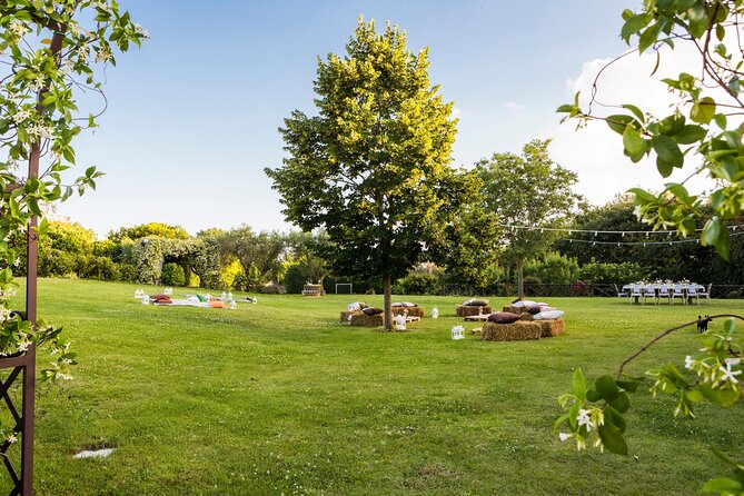 Truffle Hunting, Lunch & Cooking Class in Rome's Countryside - The 4-course truffle lunch: what’s included and how to pace it
