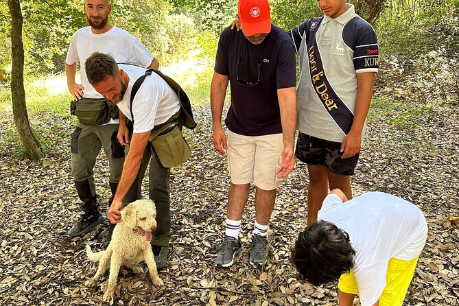 Truffle Hunting, Lunch & Cooking Class in Rome's Countryside - Who should book this Rome countryside day (and who should skip)