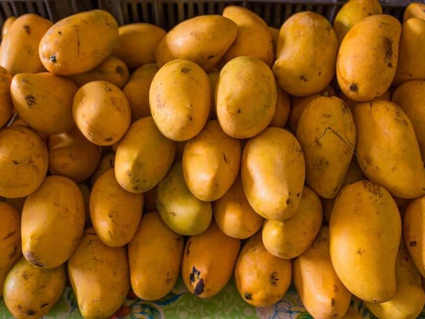Tulum: Mexican Cooking Class in Local Home - Who This Class Fits Best (and Who Might Want Another Option)