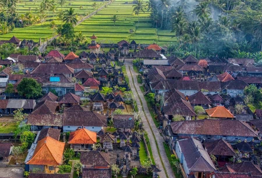 Ubud: Authentic Traditional Balinese Village Cooking Class - Delodsema Village cooking: what makes it feel real
