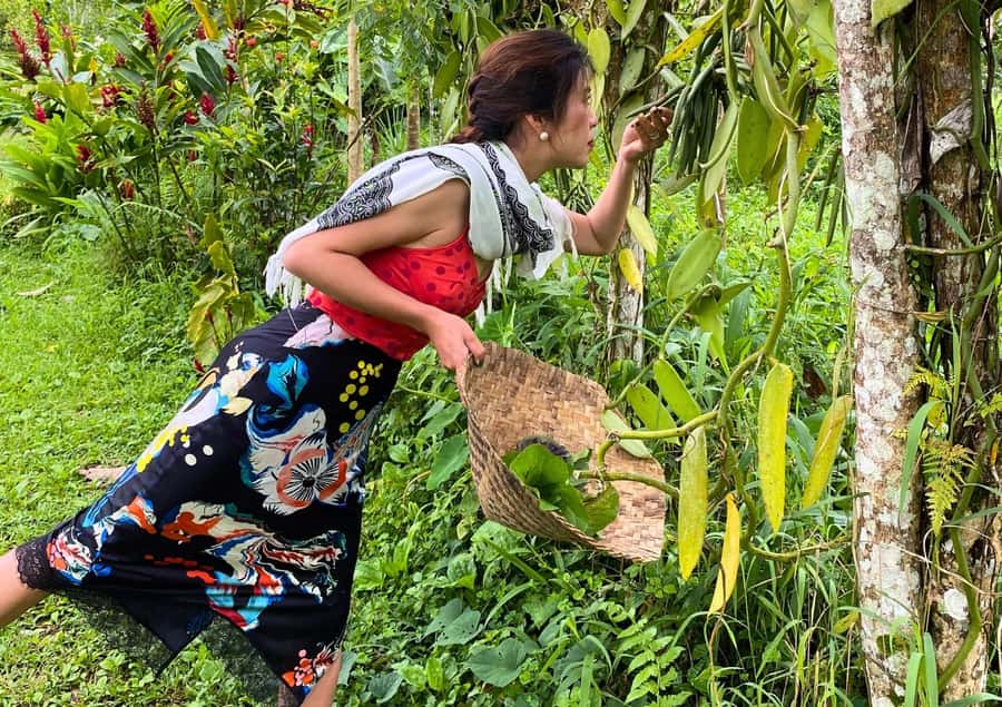 Ubud: Balinese Cooking Class at an Organic Farm - Key things I’d clock before you go