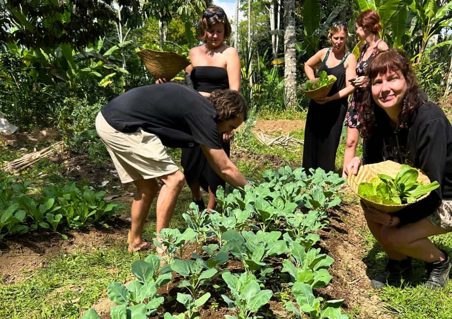 Ubud: Balinese Cooking Class at an Organic Farm - Logistics That Can Affect Your Comfort: Drive Time and Timing