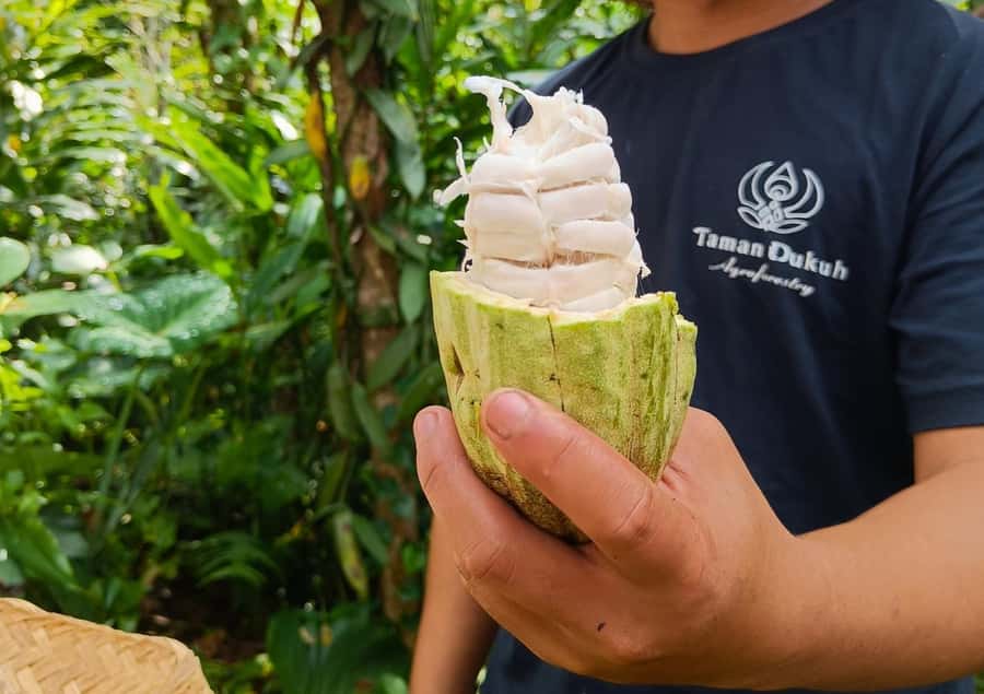 Ubud: Balinese Cooking Class at an Organic Farm - Your Chef and the Balinese Cooking Method You’ll Reuse