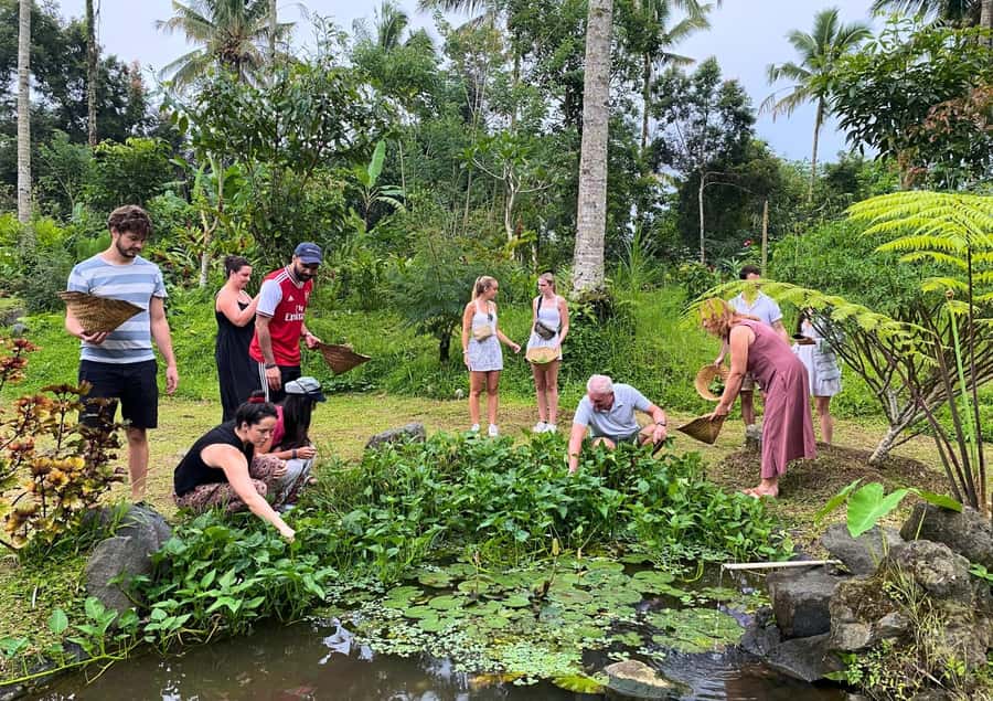 Ubud: Balinese Cooking Class at an Organic Farm - The Vegetarian Menu Stays Serious (No Sad Substitute Dishes)