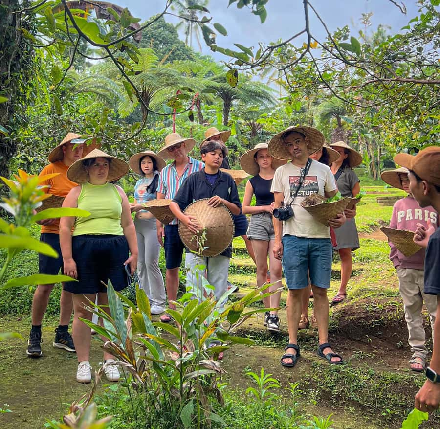 Ubud: Organic Farm Harvest, Bali Cooking Class by Pemulan - Morning Market Tour: Shopping Like People Who Cook Every Day