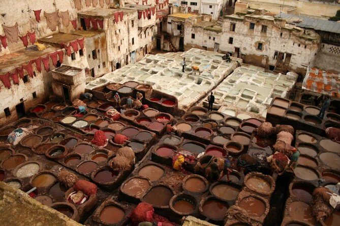 Unforgettable Cooking Class in Fez - Key Things To Know Before You Go