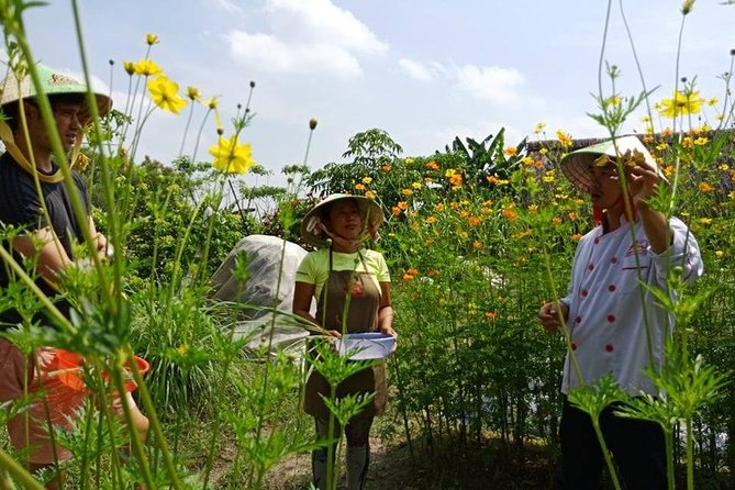 Unique farm to Table cooking class in Saigon - Eating your work: coffee or tea and a proper sit-down