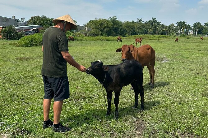 Unique Farm to Table Cooking Class with Top Chef in Vietnam - Picking herbs and building your ingredient map