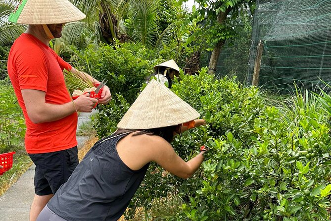 Unique Farm to Table Cooking Class with Top Chef in Vietnam - Vegan and halal-style needs: how flexible is the menu?