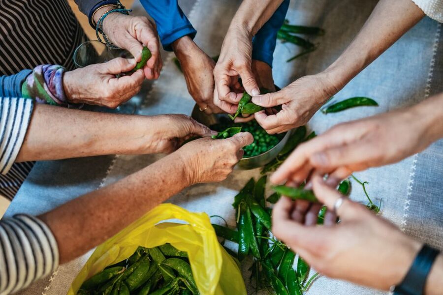 Venice: Rialto Market Tour, Cooking Class, and Lunch - Key things I’d circle before you book