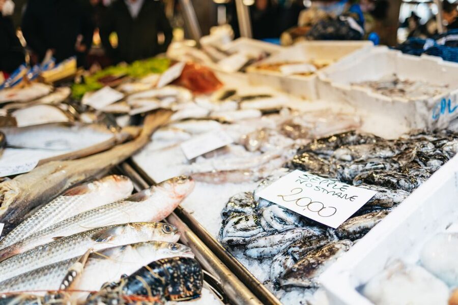Venice: Rialto Market Tour, Cooking Class, and Lunch - Lunch at the end: wine, music, and a kitchen-table vibe
