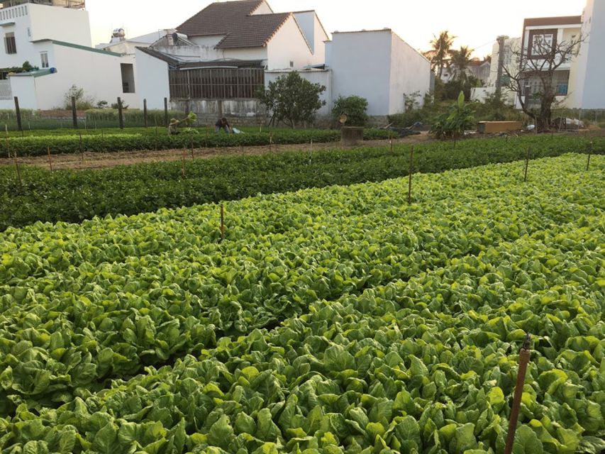 Viet Garden Cooking Class (Countryside and Market tour) - The Market Stop That Makes Your Cooking Taste Personal