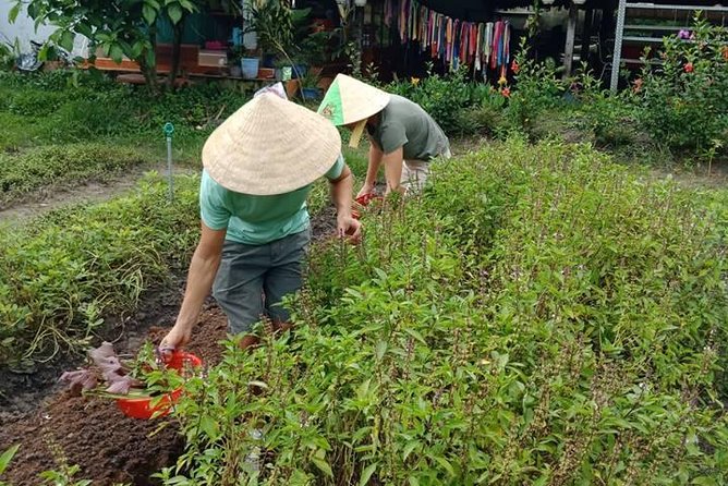 Vietnamese Cooking Class and Cu Chi Tunnels Tour from Ho Chi Minh City - The Vietnamese cooking class: your station, your four dishes