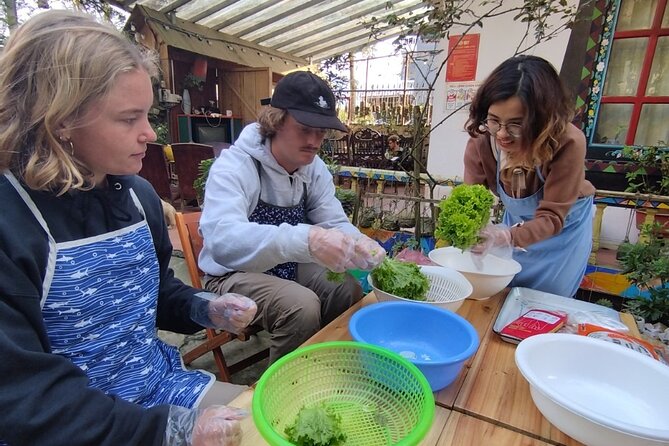 Vietnamese Spring Rolls Cooking Class - Meet Saigonese Trekking House and get into the cooking rhythm