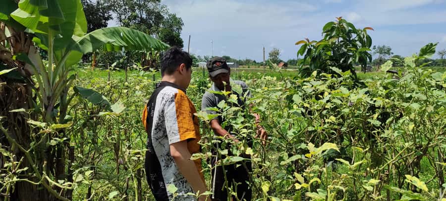 Yogyakarta: Cooking Class with Market Visit and Hotel Pickup - Yogyakarta cooking class with market visit: what you’re really buying