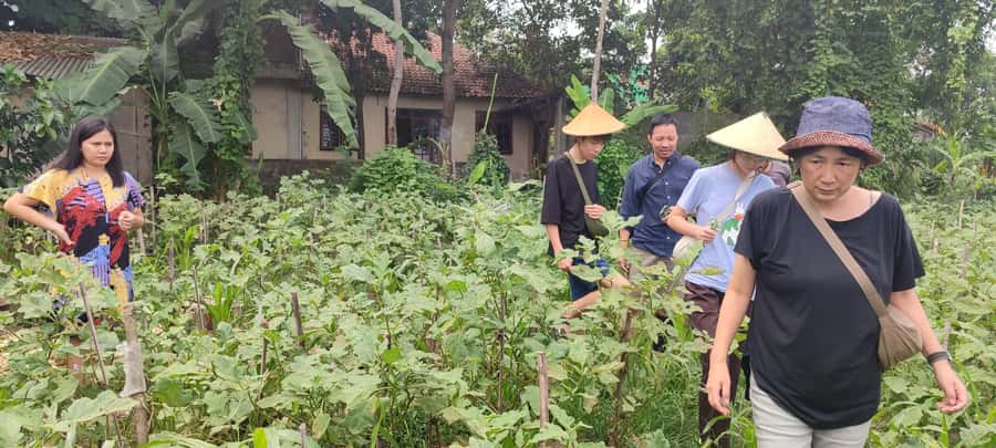 Yogyakarta: Cooking Class with Market Visit and Hotel Pickup - Cooking the menu: starter, 4 mains, and dessert in one session