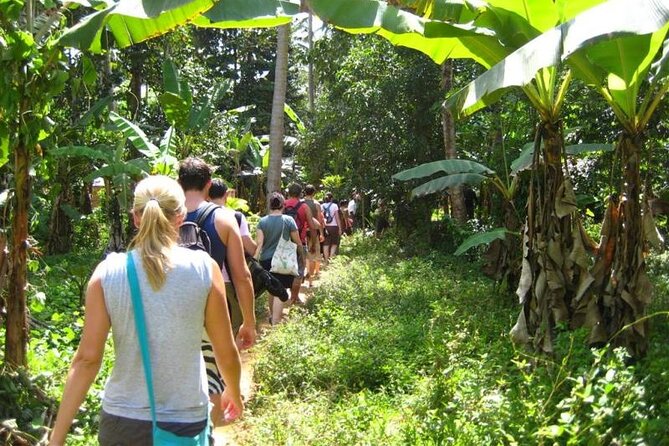 Zanzibar Cooking Class & Spice Tour - Stone Town to the spice fields: how the 5 hours really work