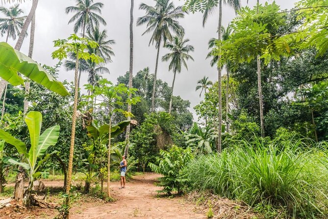 Zanzibar Cooking Class & Spice Tour - Value check: is $40 fair for market, farm, and lunch?