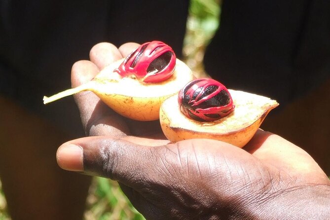 Zanzibar Cooking Class [Swahili food test ] and Spice farm Private tour - Mama Africa’s Swahili cooking class: cassava leaves to coconut milk