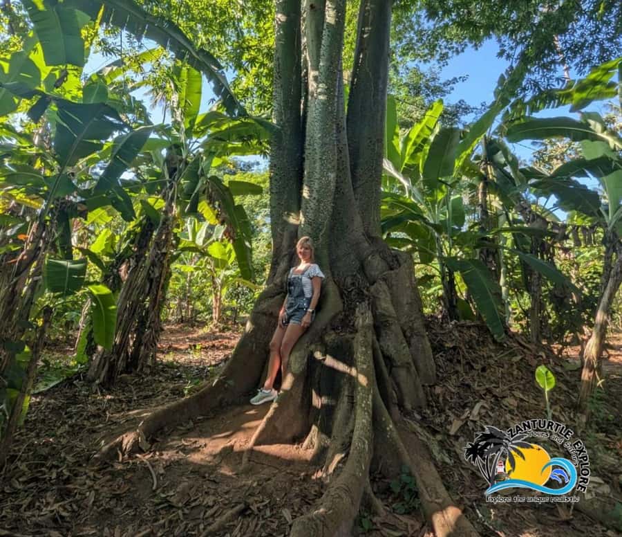 Zanzibar: Spice Farm Tour and Cooking Class with Lunch - The cooking class: from farm ingredients to a Swahili 3-course meal